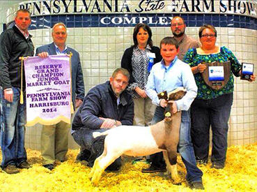 Shellhouse Livestock