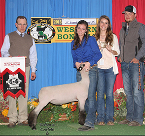 Shellhouse Livestock